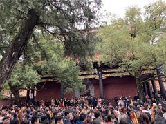 -南岳衡山风景名胜区-南岳大庙