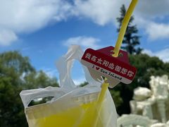 -太阳岛沙滩泳场水上乐园