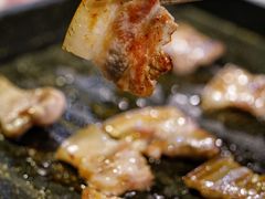 黑猪肉-Dombe豚(黑猪肉街店)