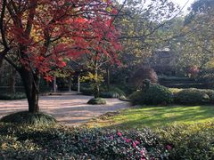 -杭州半山国家森林公园