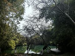 -西溪国家湿地公园