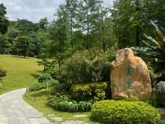 -云溪植物园