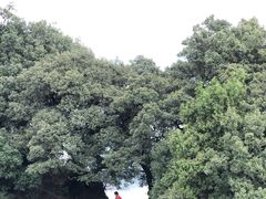 -窦圌山风景区