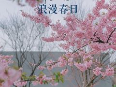 -上海辰山植物园