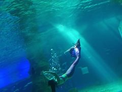 -北戴河圣蓝海洋公园