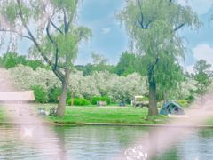 -上海共青森林公园