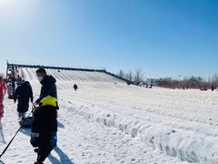 -绿野森林乐园冰雪季