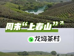 -龙坞茶村