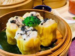 -点都德·毕德寮