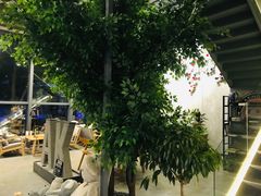 -了不起的考拉咖啡店(高新店)