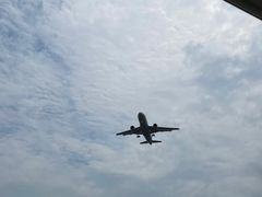 -空港花田景区