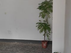 -吴作人艺术馆