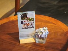 -深圳罗湖木棉花凯悦尚选酒店•大堂吧