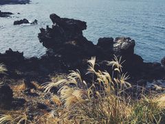 -龙头岩(Dragon Head Rock)