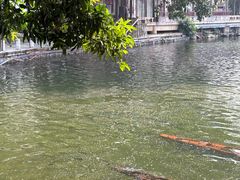 -荔湾湖公园