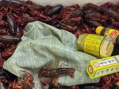 -岳各庄批发市场(西四环中路店)