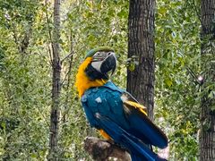 -北京野生动物园