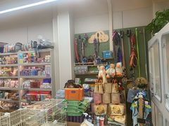 -唐小姐の私宠·宠物洗护美容·撸猫馆·购宠(周浦万达旗舰店)