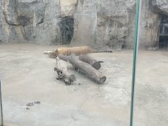 -南昌动物园