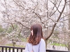 -武汉大学-樱园