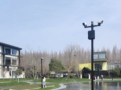 -黄海国家森林公园