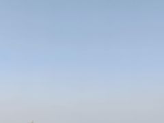 -空港花田景区