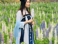-天适樱花悠乐园