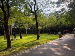 -海珠湖公园