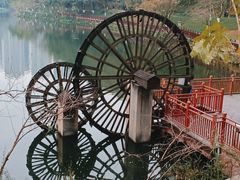 -重庆彩云湖湿地公园