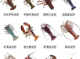 你知道小龙虾不是“龙虾”嘛？