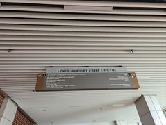 -香港大学