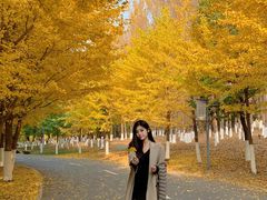 -长白岛森林公园