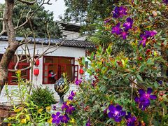 -天然居(伦教店)