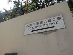 -九龙公园