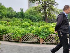 -迎泽公园