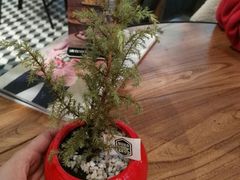 -Moka Bros 摩卡站(西单大悦城店)