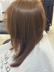 -HaLo hair studio