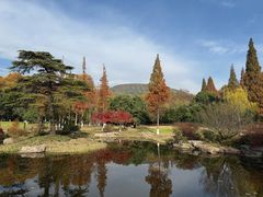 -习家池