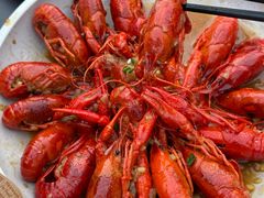 -京B·东篱精酿啤酒音乐餐厅