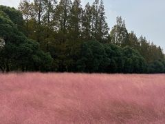 -嘉北郊野公园