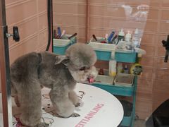 -FAELING PETS美天灵宠物(合生汇店)