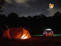 -TIPPI营地 房车主题·露营烧烤团建轰趴(天安假日店)