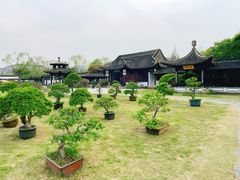 -扬州大运河文化旅游度假区·盆景园