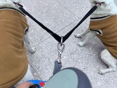 -四月宠物医院·猫专科·心脏专科·内科(转塘店)