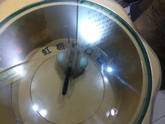 -上海昆虫博物馆