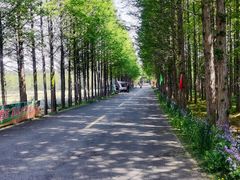 -日照海滨国家森林公园