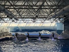 -秦皇岛乐岛海洋王国