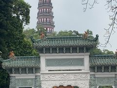 -顺峰山公园