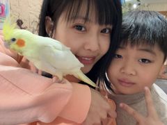 -吉丁鸟咖·异宠·寄养