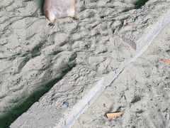 -杭州野生动物世界